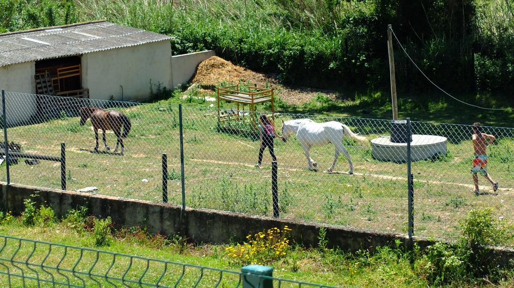 Quinta Do Forno Affittacamere Maçeira Esterno foto