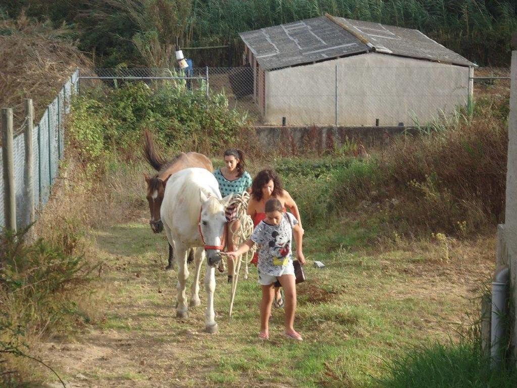 Quinta Do Forno Affittacamere Maçeira Esterno foto